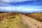 View on top of Quantock Hills Somerset England with purple heather in HDR