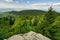 View from the top of Vtacnik mountain during summer with spruce trees