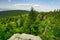 View from the top of Vtacnik mountain during summer with spruce trees