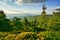 View from the top of Vtacnik mountain during summer with spruce trees