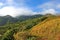 a view of the Toro Negro tropical rainforest