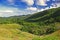 a view of the Toro Negro tropical rainforest, Puerto Rico