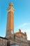 View of the Torre del Mangia in Siena