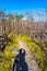 View of Torres del Paine National Park, its forests and hiking t