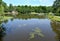 View of Tortilin pond in the city park. Zelenogradsk, Kaliningrad region