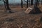 View of a tourist tent with a quick-build system, brown. no people. place for text. Dull dark tones of autumn morning, winter