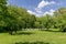 View toward apiary with beehive in the field at forest