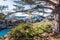 View towards Bird`s Island in Point Lobos State Natural Reserve, Carmel-by-the-Sea, Monterey Peninsula, California