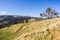 View towards Mission Peak from Sunol Regional Wilderness, San Francisco bay area, California