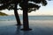 View towards the sea from the wooden deck with two pine trees on the shore of Naoshima Island  Japan.