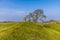 A view towards the triangulation point on the eastern ramparts of the Iron Age Hill fort remains at Burrough Hill