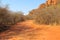 View towards the Waterberg Plateau, Waterberg Plateau National Park, Namibia