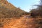 View towards the Waterberg Plateau, Waterberg Plateau National Park, Namibia