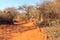 View towards the Waterberg Plateau, Waterberg Plateau National Park, Namibia