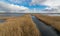 View from tower to bog lake, many reeds