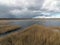 View from tower to bog lake, many reeds