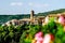 View of the town of Nemi through the flowers. The surroundings of Rome. Italy.