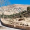 View of town Wadi Musa from Petra