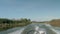 View of trace on river water left by motor boat while sailing. Soft evening light, dry reeds, shore.