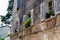 View of traditional croatian old building with flower pots in the windows, in the old town of Porec also called Parenzo, Croatia