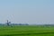 View on traditional Dutch wind mill and cows on green pasture, spring landscape in North Holland