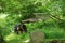 A view of traditional wooden waterwheel