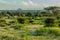 View of the trails and savannah of Samburu