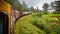 View of train and carriages taking bend on classic Nanu Oya railway trip in Sri Lanka