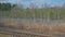 View From The Train Window. passengers window view from a moving train traveling through the rural countryside passes level road c