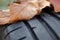 view on tread of high performance car tire with autumn leaves on profile - car tuning and maintenance concept