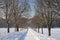 A view of the the tree avenue at the Elizabethan Wollaton Hall museum and gardens in the snow in winter in Nottingham,