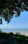 View through tree branches of blue sky and clear blue sea from Porto Seguro beach - Bahia - Brazil. Paradise landscape.