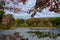 View Through Tree Leaves of Autumn Lakeshore