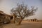 view of the tree at Stone chariot vijaya vithala temple main attraction at hampi, karnataka, india