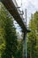 View of the tree top path and trail in the hills of southern Bavaria in Scheidegg