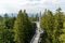 View of the tree top path and trail in the hills of southern Bavaria in Scheidegg