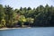 A view of the trees across Walden Pond, Massachusetts.