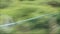 View of the trees and environment from a window of quickly going high-speed train