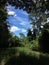 View through trees, Fazenda, Sao Paulo Stare Brazil