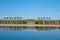 View of trees with reflection in peterhof