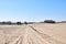 View of trees on a sandy farm with clear blue sky copy space in Autumn. Nature landscape of a dry bush tree branches