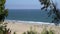 View through the trees to the ocean shore. Santa Monica beach. People bathe. Sailboat sailing on the waves. Warm summer