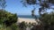 View through the trees to the ocean shore. Santa Monica beach. People bathe. Sailboat sailing on the waves. Warm summer