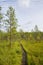 View of  The Tremanskarr swamp and nature trail, Espoo, Finland