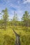 View of  The Tremanskarr swamp and nature trail, Espoo, Finland