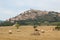 View of Trevi, the awesome medieval city in Umbria region, central Italy, during the summer with hay balls