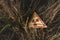 View of triangle with warning toxic symbol on grass, post apocalyptic concept