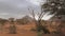 View Of The Triangular Mountain In The Desert With Red Sand And Acacia Trees