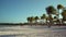 View of tropical beach through coconut palm trees on sunset. Shadows of palm tree fronds fluttering on textured sand