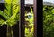 View through the tropical bungalow window on green forest